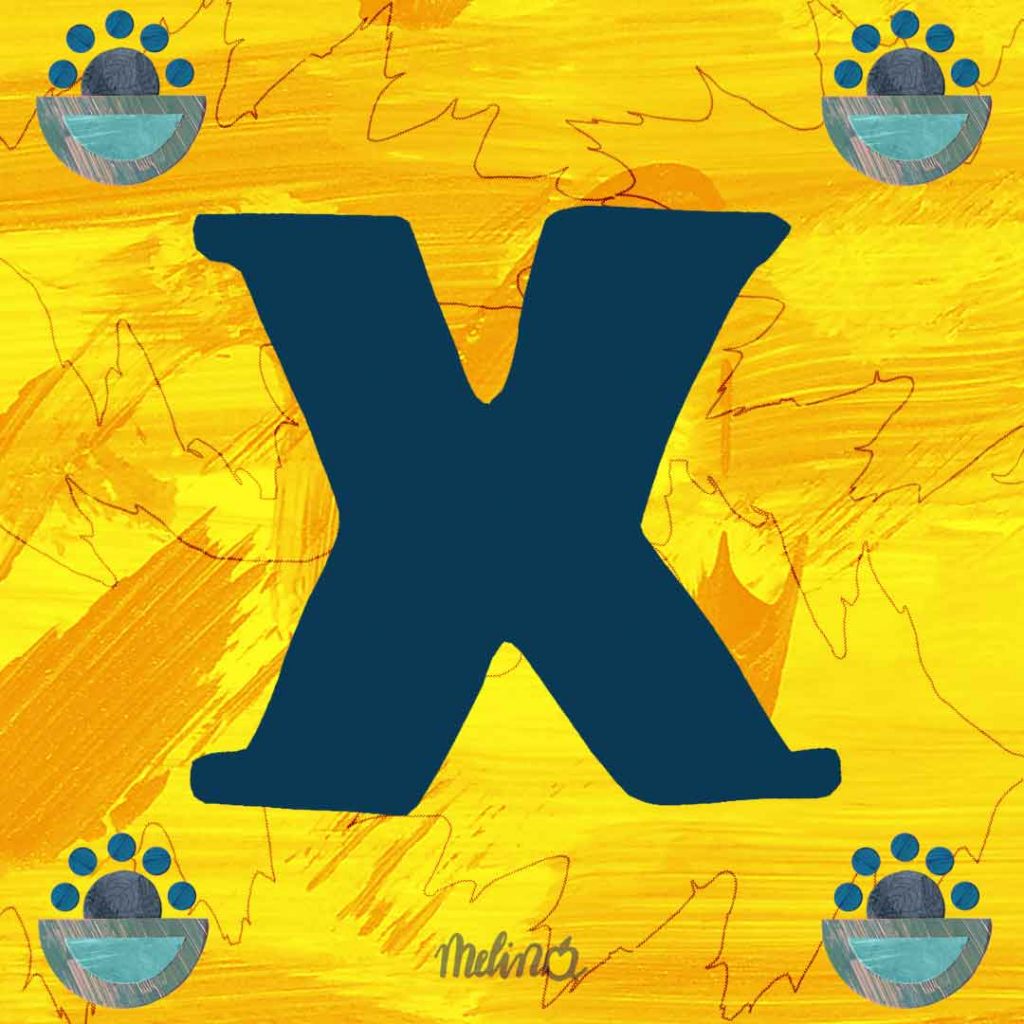 xpress yourself
