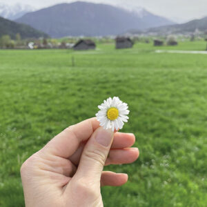 Eine Hand hält ein Gänseblümchen. Dahinter sieht man eine Wiese, ein paar kleine Hütten und in der Ferne einen Berg.
